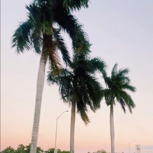 Meet your Posher, Keira